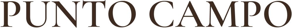 Logo de Punto Campo